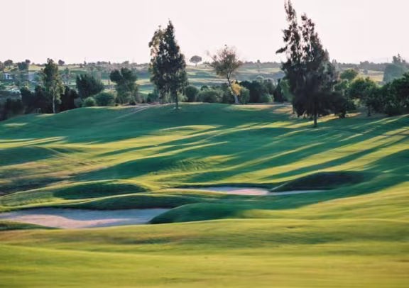 Image Citrus Golf - Les Oliviers